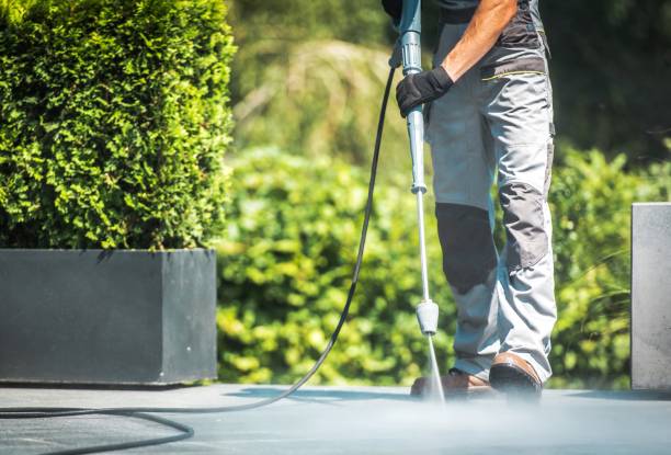Best Fence Cleaning  in Salem, AR