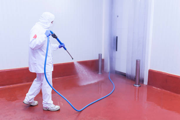 Best Boat and Dock Cleaning  in Salem, AR