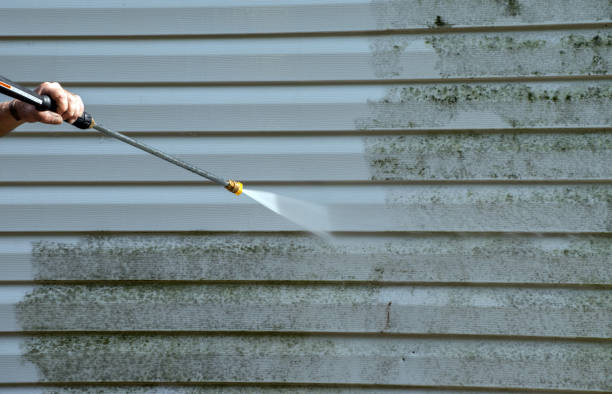 Best Spring Cleaning  in Salem, AR